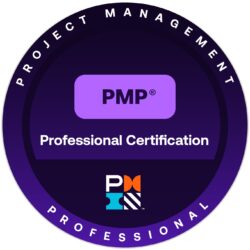 PROJECT MANAGEMENT PROFESSIONAL PROJECT MANAGEMENT PROFESSIONAL